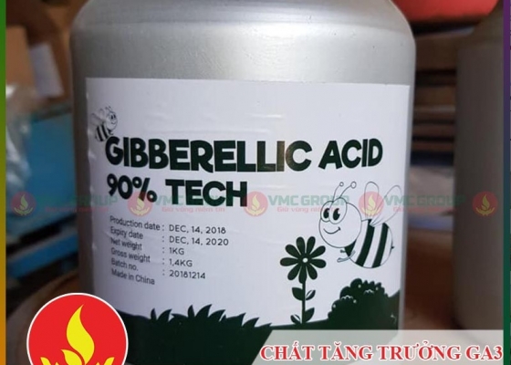 CHẤT KÍCH THÍCH TĂNG TRƯỞNG THỰC VẬT GA3 || HÓA CHẤT NÔNG NGHIỆP