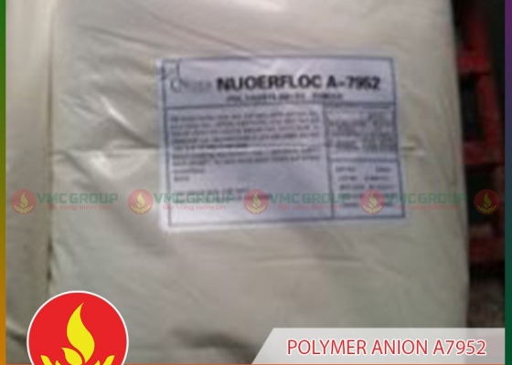 POLYMER ANION A7952 NUOERFLOC || TRỢ LẮNG || HÓA CHẤT XỬ LÝ NƯỚC