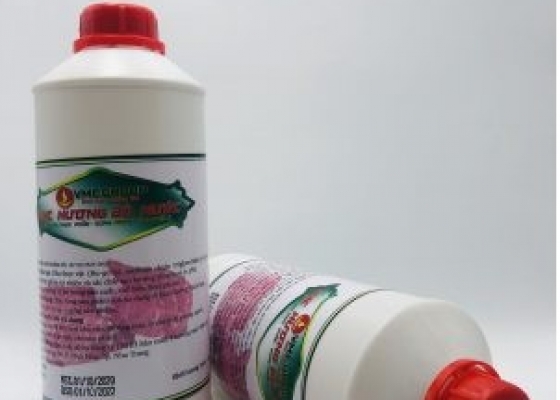 VMC HƯƠNG BÒ NƯỚC || PHỤ GIA THỰC PHẨM