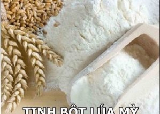 TINH BỘT LÚA MÌ || PHỤ GIA THỰC PHẨM
