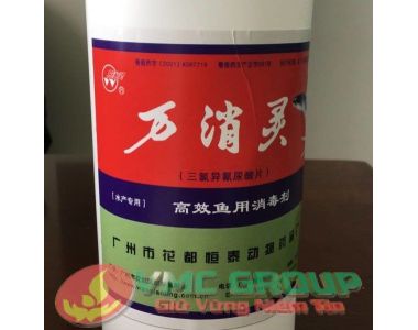 TCCA || C3Cl3N3O3 || TRICHLOROISOCYANURIC ACID